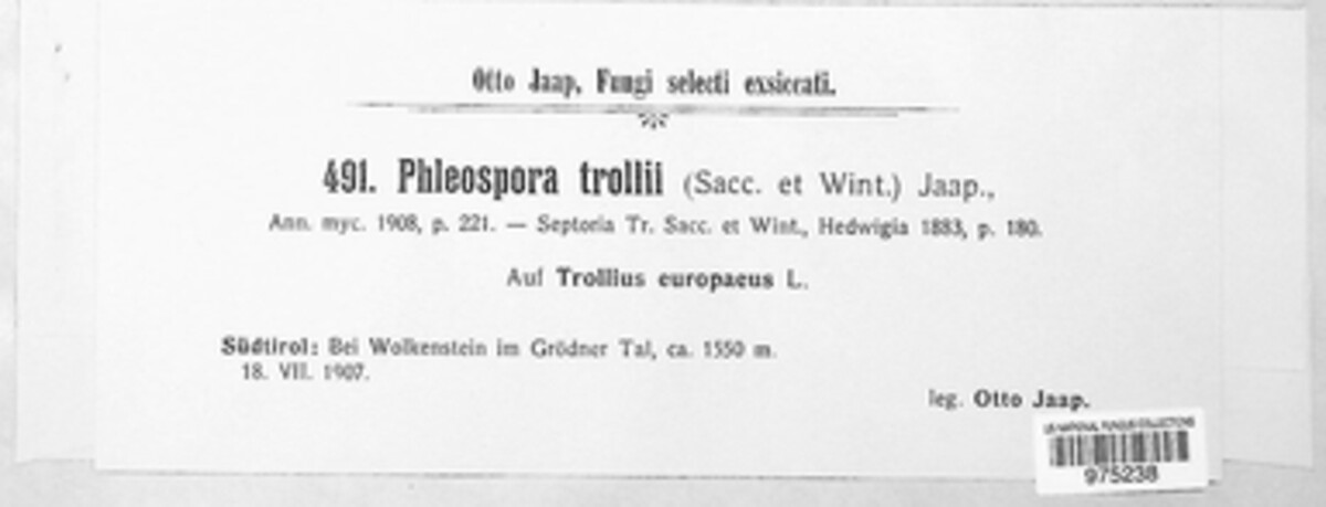 Phloeospora trollii image